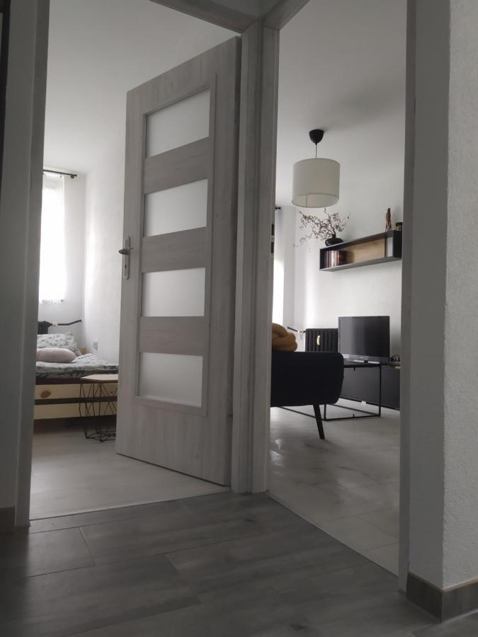 Appartamento Babcares Apa Gory Izerskie Mirsk Esterno foto