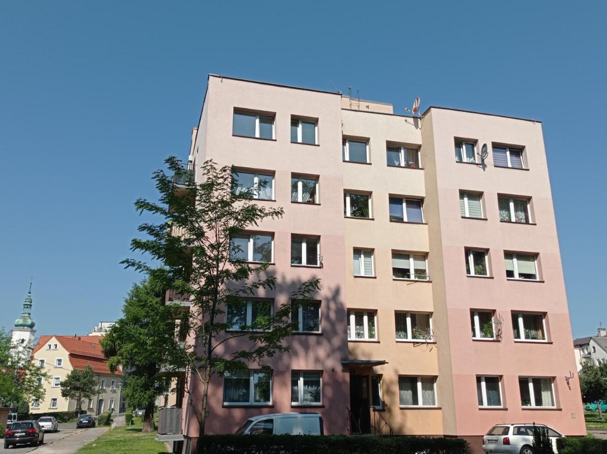 Appartamento Babcares Apa Gory Izerskie Mirsk Esterno foto