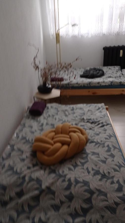 Appartamento Babcares Apa Gory Izerskie Mirsk Esterno foto